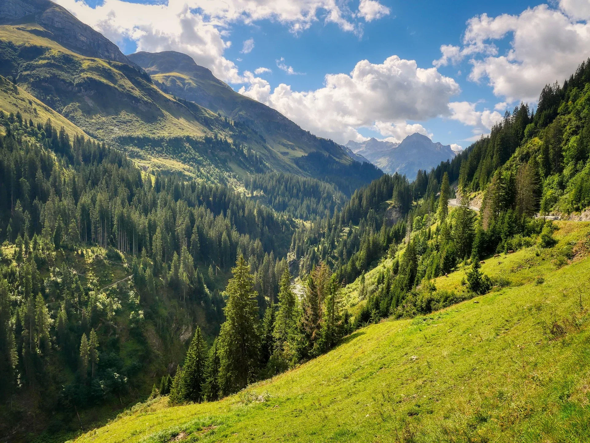 Alpine flying · From Innsbruck